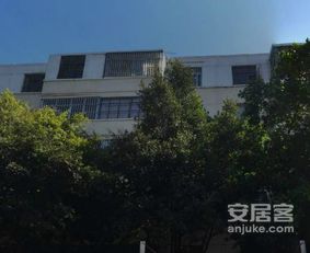 輕工機械廠宿舍小區(qū)照片